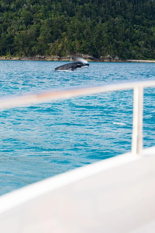 M/Y Alani, the view from the deck