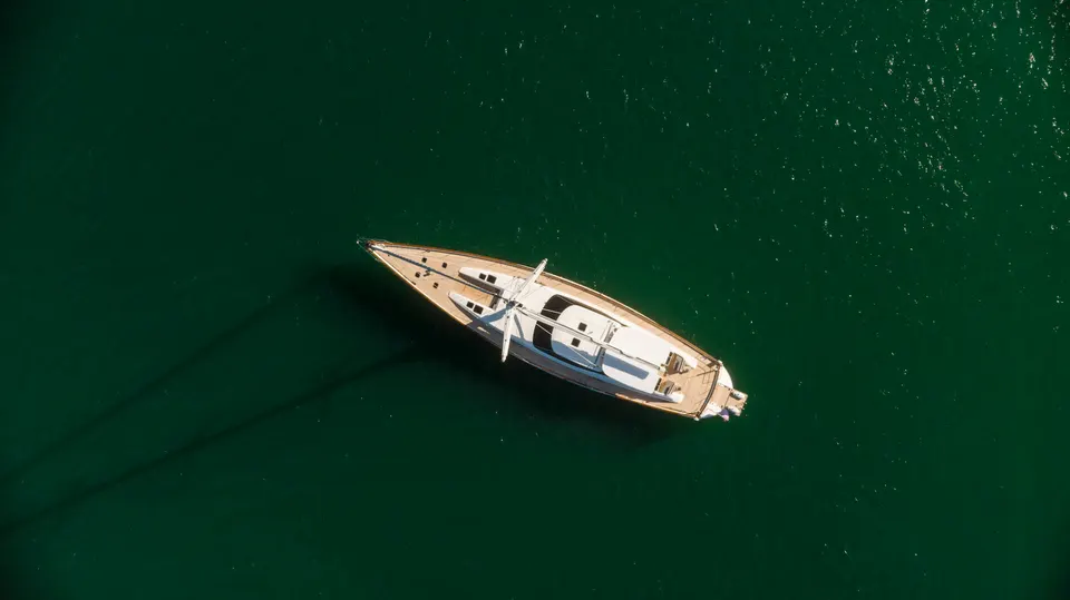 Miss Silver, frame 53