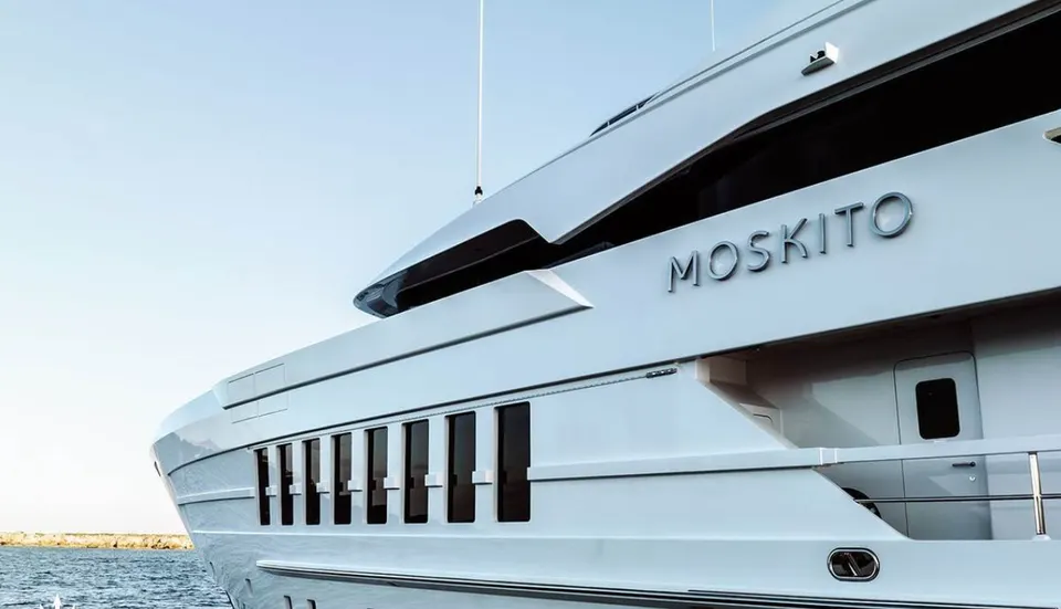Moskito, frame 65