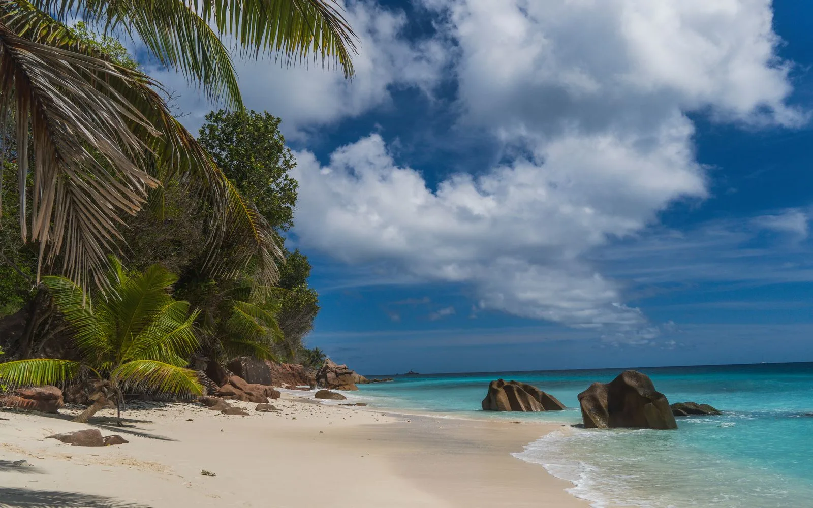 Palm trees and granite rocks on a Seychelles beach