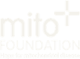 Mito Foundation