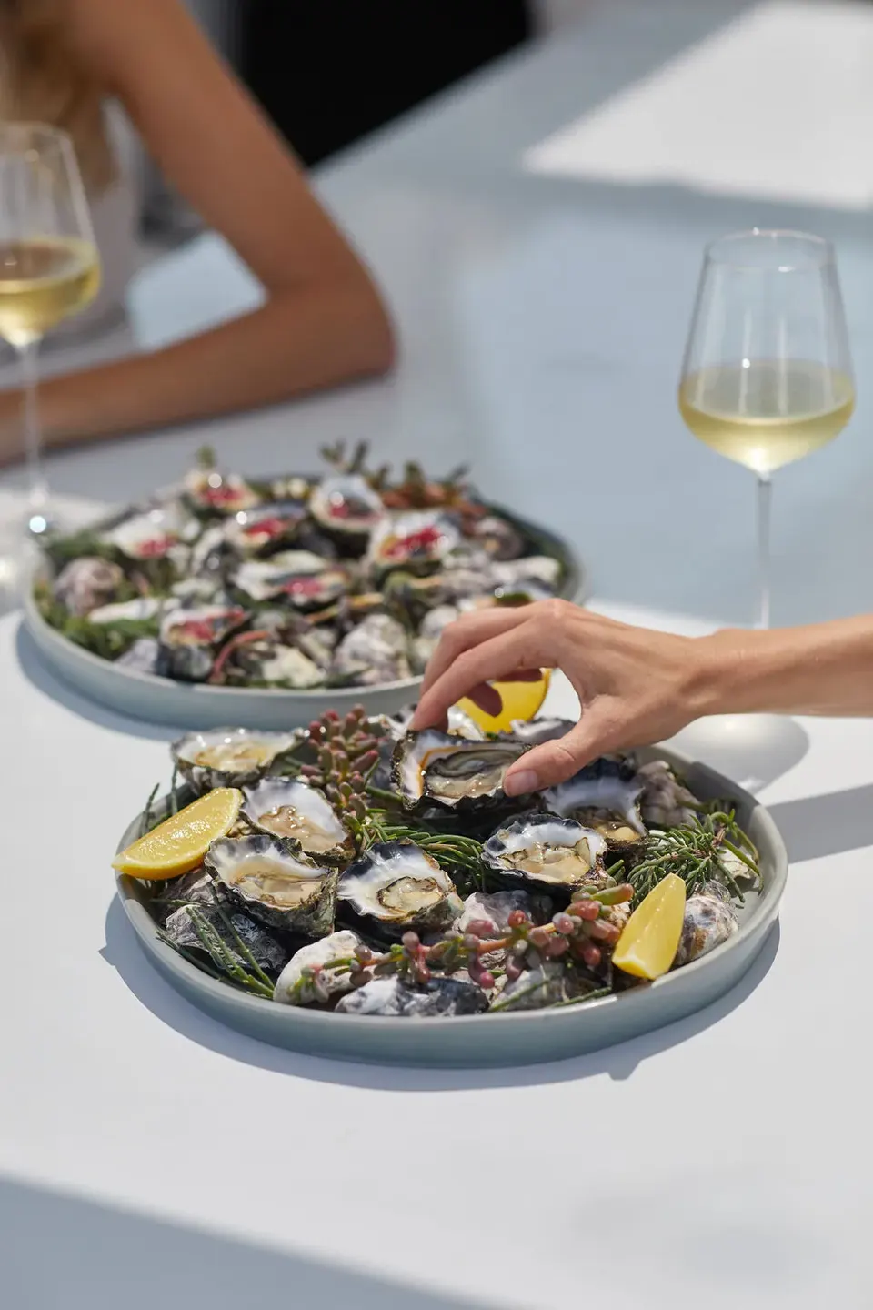 M/Y Sea Raes, oysters, served