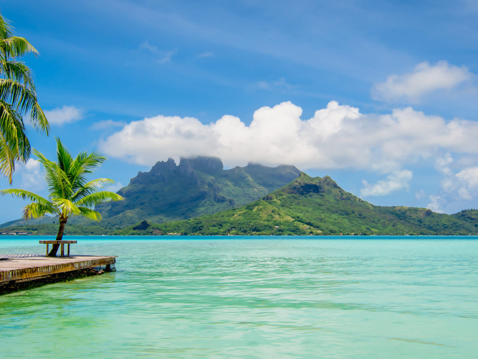 Beautiful,Island,With,Lagoon,,Palm,Trees,And,Mount,Otemanu,In