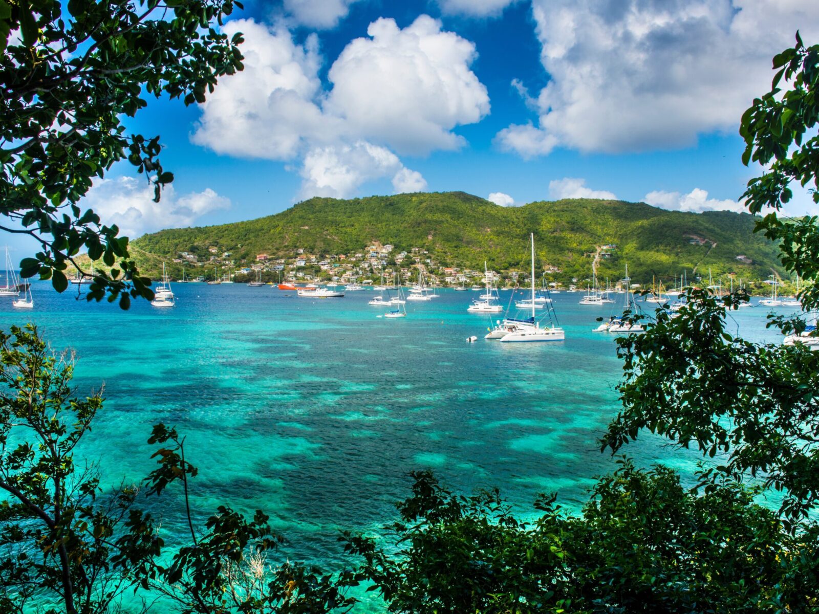 Sailing,Boats,Anchoring,In,Port,Elizabeth,,Admiralty,Bay,,Bequia,,The